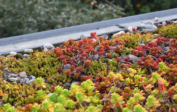the cost of Batworthy green roof installation