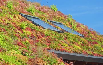 Batworthy living roof systems
