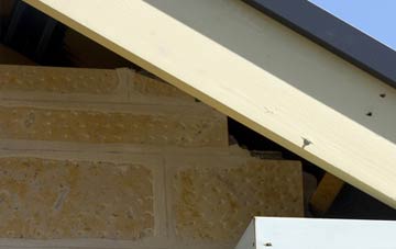 soffit repair Batworthy